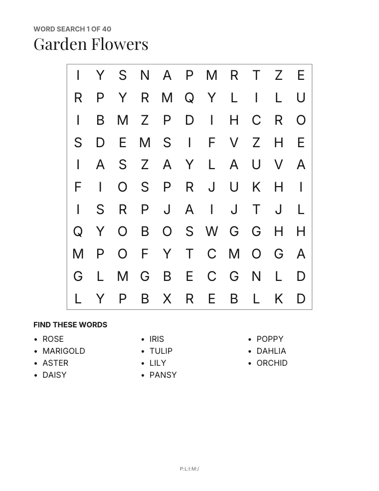 Variety Puzzle Book for Seniors — 1