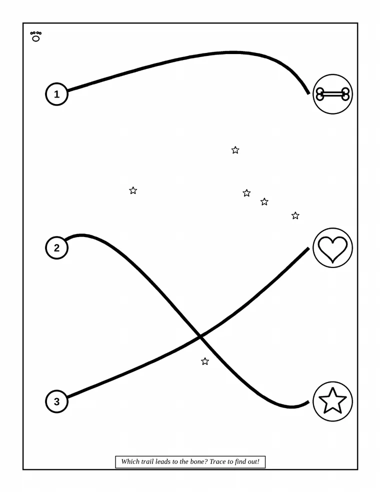 Whippet Logic Trails — 1
