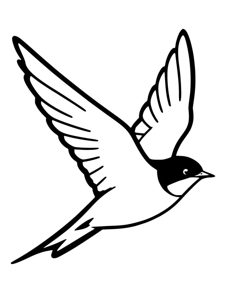 Bold & Easy Birds for Seniors — 1