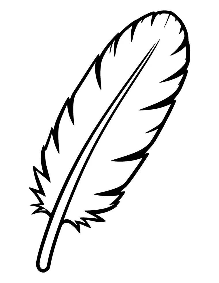 Bold & Easy Birds for Seniors — 3