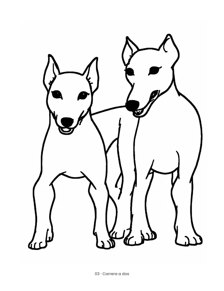 Galgos y Whippets — 1