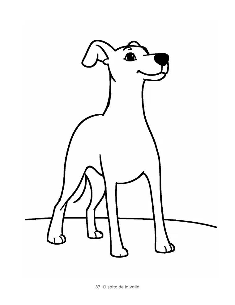 Galgos y Whippets — 3