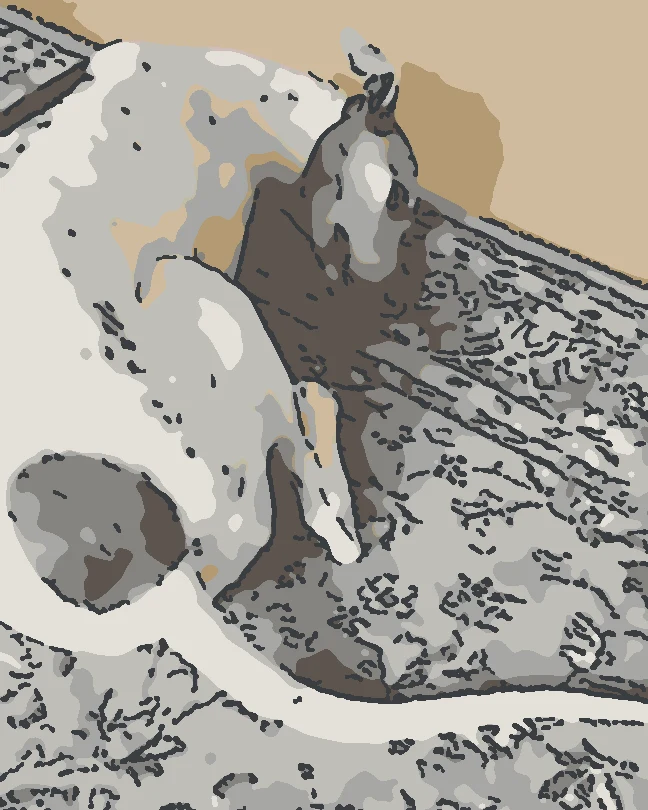 Switzzer dormido, hecho un ovillo sobre la alfombra del estudio